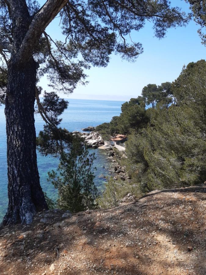 Ferienwohnung Chez Pierrot Bandol Exterior foto